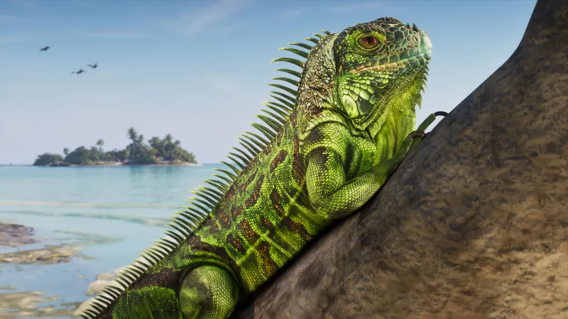 Green iguana on a tree trunk with a small mangrove islet in turquoise water behind it.