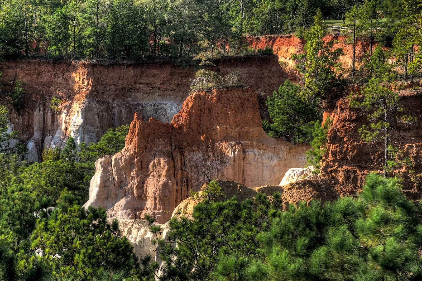 North Florida / South Georgia backwoods, real-world photo: Eroded red-clay walls of Providence Canyon, Georgia, 2018